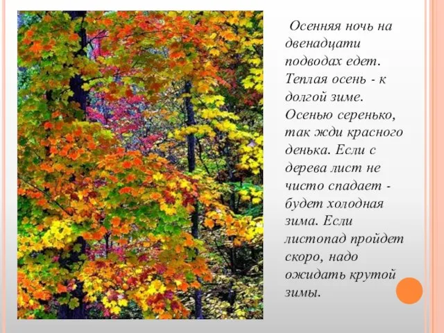 Осенняя ночь на двенадцати подводах едет. Теплая осень - к долгой зиме.