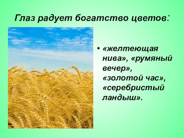 Глаз радует богатство цветов: «желтеющая нива», «румяный вечер», «золотой час», «серебристый ландыш».