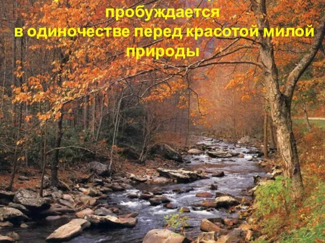 Чувство Родины острее всего пробуждается в одиночестве перед красотой милой природы