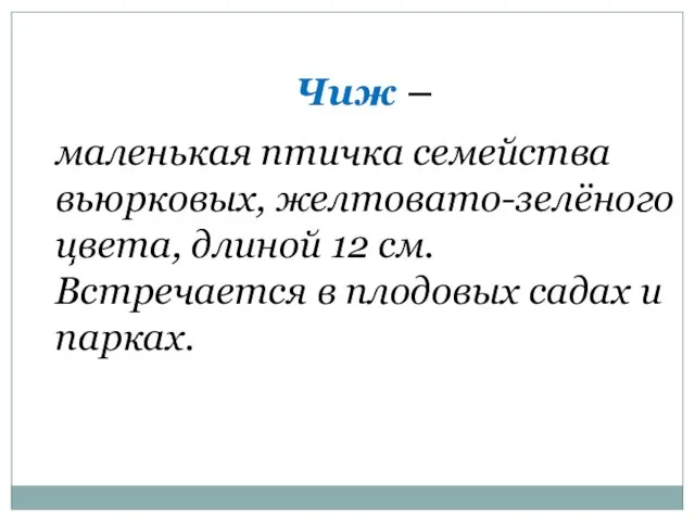 Чиж – маленькая птичка семейства вьюрковых, желтовато-зелёного цвета, длиной 12 см. Встречается