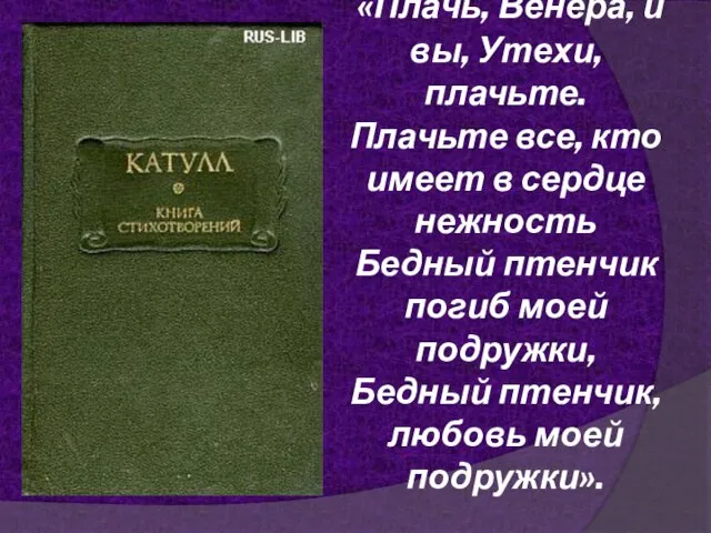 «Плачь, Венера, и вы, Утехи, плачьте. Плачьте все, кто имеет в сердце