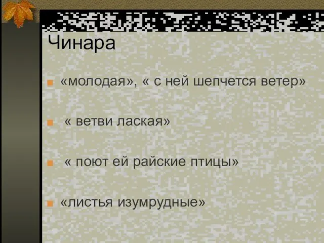 Чинара «молодая», « с ней шепчется ветер» « ветви лаская» « поют