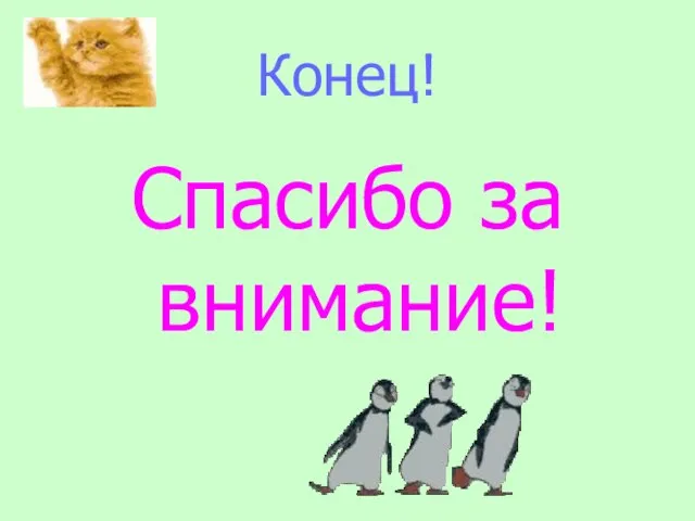 Конец! Спасибо за внимание!