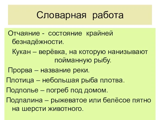 Словарная работа Отчаяние - состояние крайней безнадёжности. Кукан – верёвка, на которую