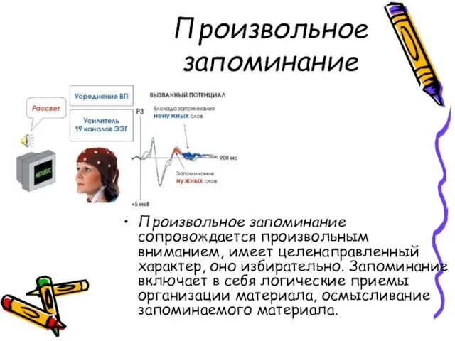 Произвольное запоминание Произвольное запоминание сопровождается произвольным вниманием, имеет целенаправленный характер, оно избирательно.