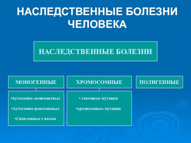 НАСЛЕДСТВЕННЫЕ БОЛЕЗНИ ЧЕЛОВЕКА НАСЛЕДСТВЕННЫЕ БОЛЕЗНИ МОНОГЕННЫЕ ХРОМОСОМНЫЕ ПОЛИГЕННЫЕ Аутосомно-доминантные Аутосомно-рецессивные Сцепленные с