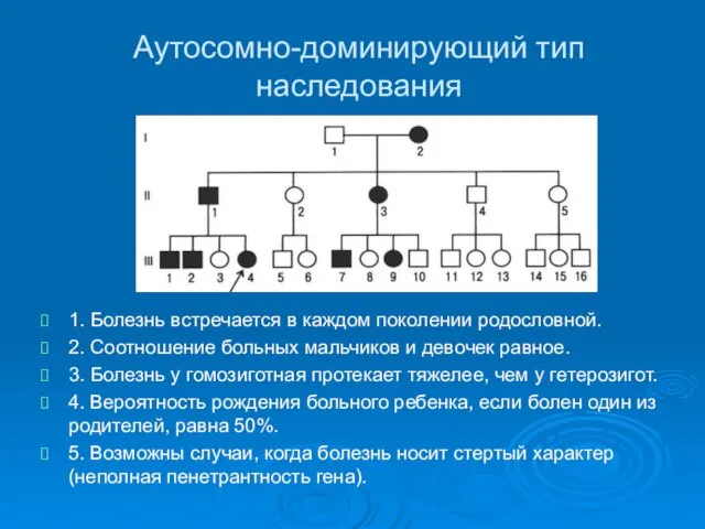 Аутосомно-доминирующий тип наследования 1. Болезнь встречается в каждом поколении родословной. 2. Соотношение