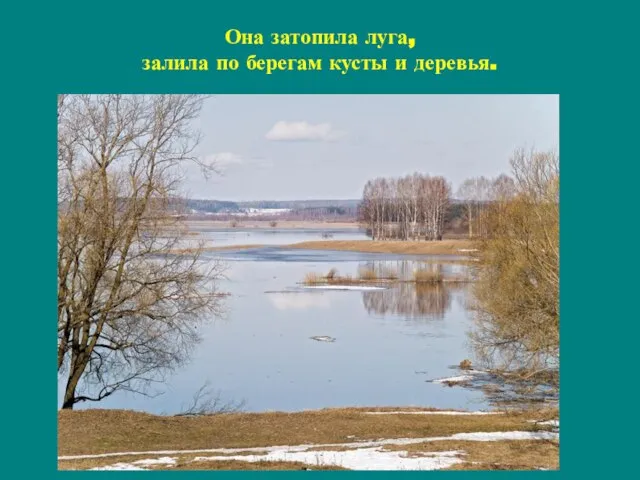 Она затопила луга, залила по берегам кусты и деревья.