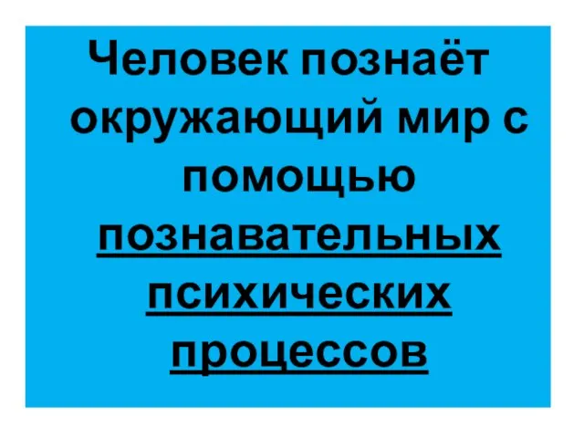 Человек познаёт окружающий мир с помощью познавательных психических процессов