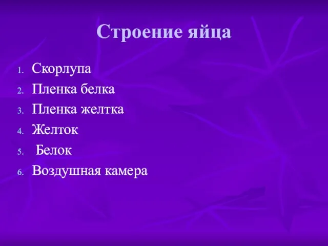 Строение яйца Скорлупа Пленка белка Пленка желтка Желток Белок Воздушная камера