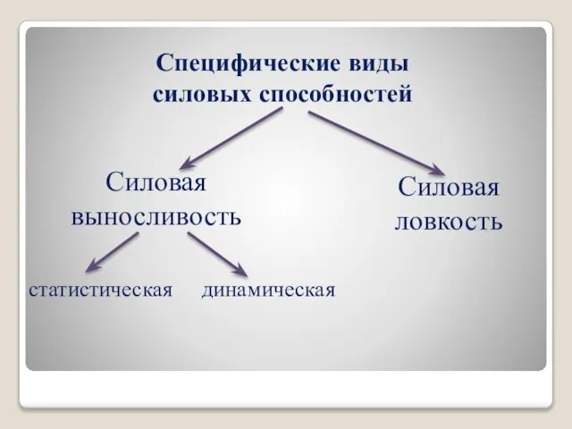 Специфические виды силовых способностей Силовая выносливость Силовая ловкость статистическая динамическая