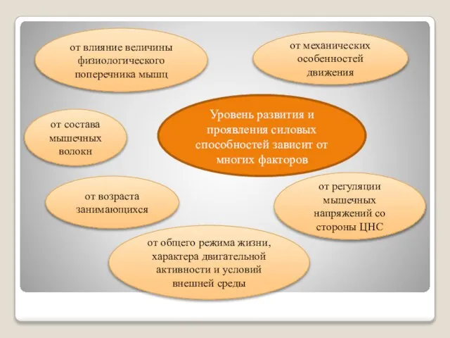 Уровень развития и проявления силовых способностей зависит от многих факторов от влияние