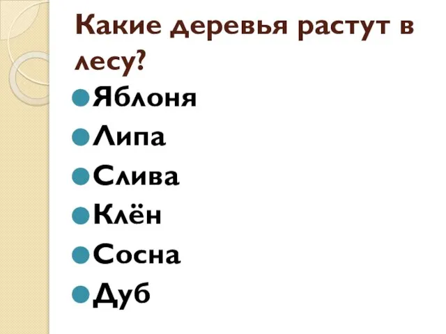 Какие деревья растут в лесу? Яблоня Липа Слива Клён Сосна Дуб