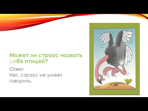 Может ли страус назвать себя птицей? Ответ: Нет, страус не умеет говорить.