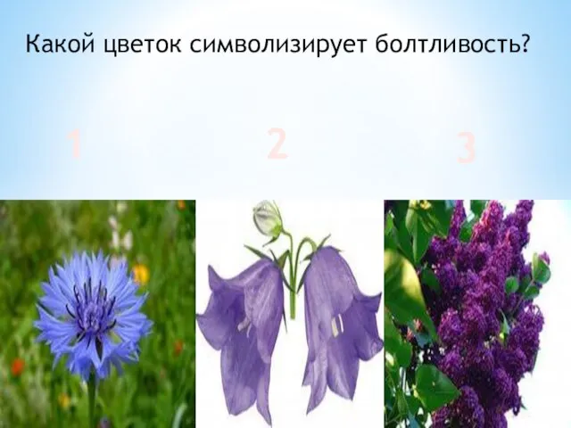 Какой цветок символизирует болтливость? 1 2 3