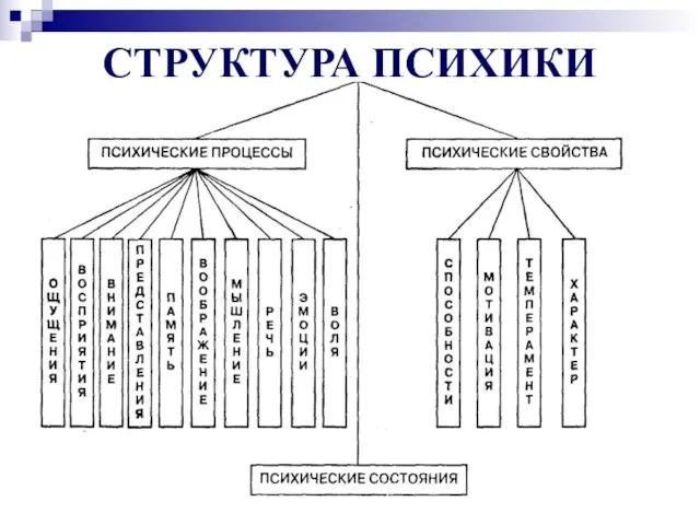 СТРУКТУРА ПСИХИКИ