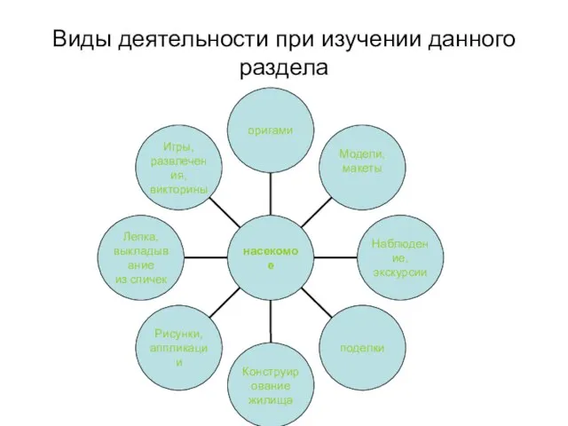Виды деятельности при изучении данного раздела