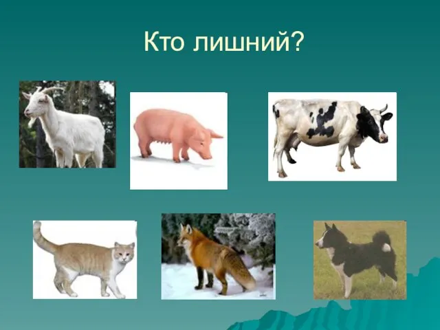 Кто лишний?