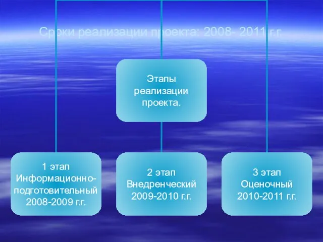 Сроки реализации проекта: 2008- 2011 г.г.