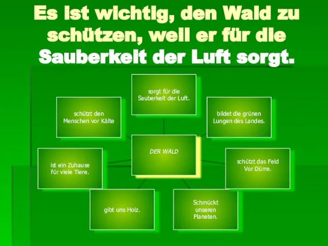 Es ist wichtig, den Wald zu schützen, weil er für die Sauberkeit der Luft sorgt.