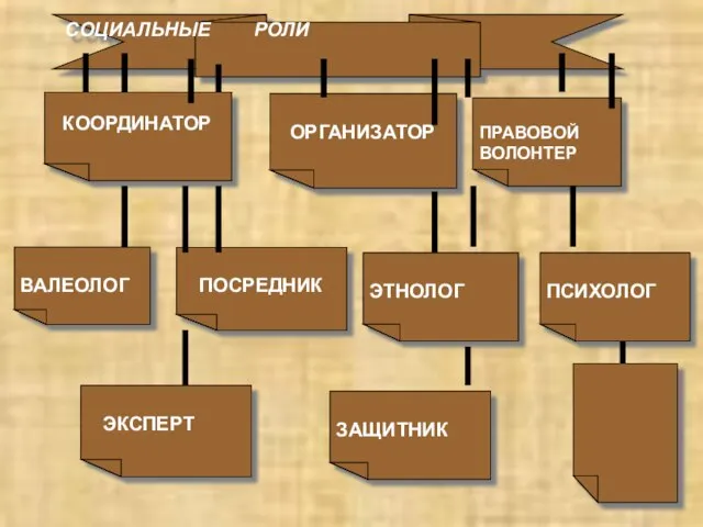 СОЦИАЛЬНЫЕ РОЛИ КООРДИНАТОР ОРГАНИЗАТОР ПРАВОВОЙ ВОЛОНТЕР ВАЛЕОЛОГ ПОСРЕДНИК ЭТНОЛОГ ПСИХОЛОГ ЭКСПЕРТ ЗАЩИТНИК