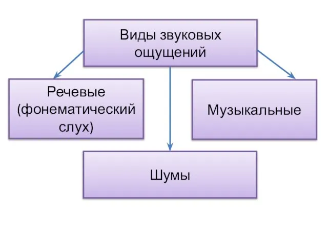 Виды звуковых ощущений Речевые (фонематический слух) Музыкальные Шумы