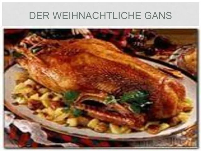 DER WEIHNACHTLICHE GANS