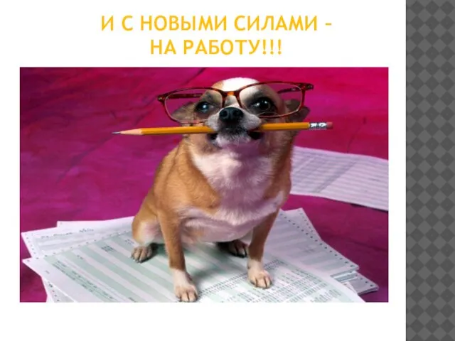 И С НОВЫМИ СИЛАМИ – НА РАБОТУ!!!