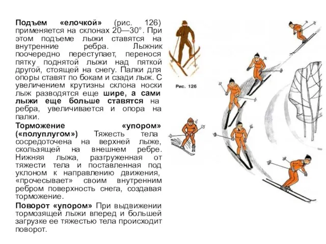 Подъем «елочкой» (рис. 126) применяется на склонах 20—30°. При этом подъеме лыжи