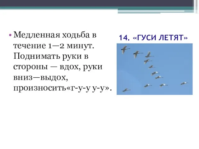 14. «ГУСИ ЛЕТЯТ» Медленная ходьба в течение 1—2 минут. Поднимать руки в