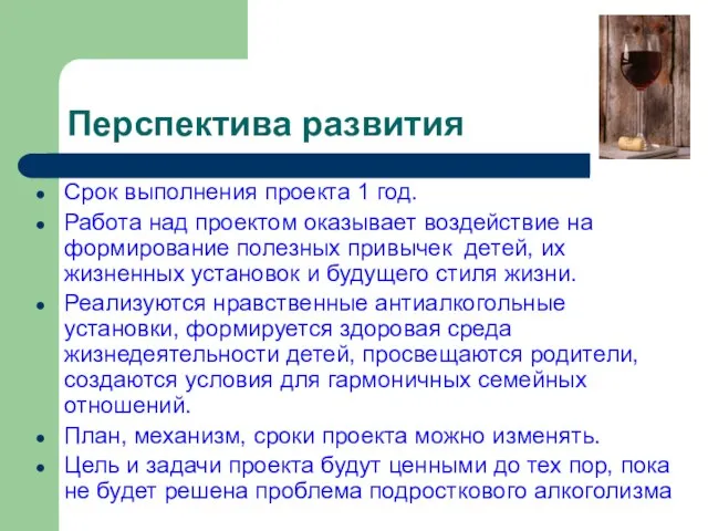 Перспектива развития Срок выполнения проекта 1 год. Работа над проектом оказывает воздействие