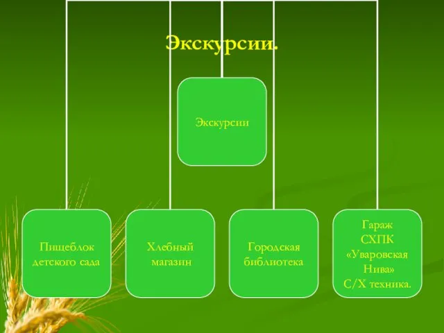 Экскурсии.