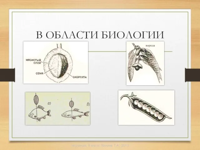 В ОБЛАСТИ БИОЛОГИИ Черчение, 9 класс. Ванина Т.А., 2013