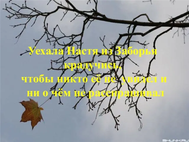 Уехала Настя из Заборья крадучись, чтобы никто её не увидел и ни о чём не расспрашивал