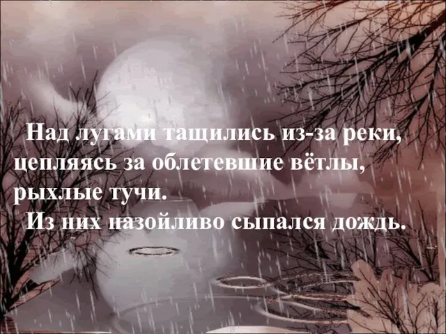 Над лугами тащились из-за реки, цепляясь за облетевшие вётлы, рыхлые тучи. Из них назойливо сыпался дождь.