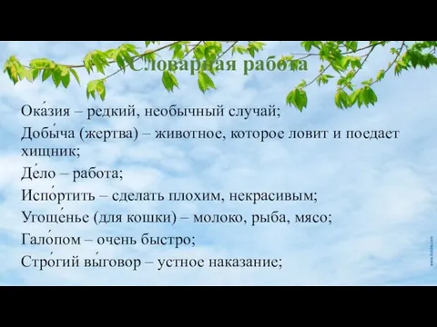 Словарная работа Ока́зия – редкий, необычный случай; Добы́ча (жертва) – животное, которое