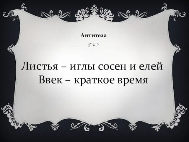 Антитеза Листья – иглы сосен и елей Ввек – краткое время