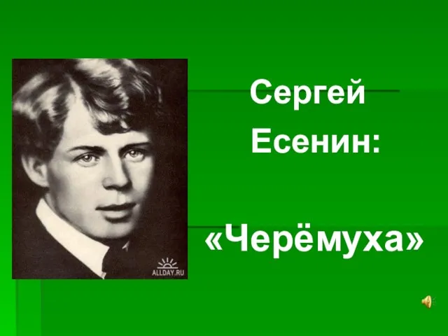 Сергей Есенин: «Черёмуха»