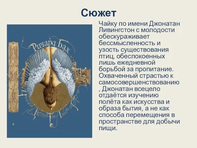 Сюжет Чайку по имени Джонатан Ливингстон с молодости обескураживает бессмысленность и узость