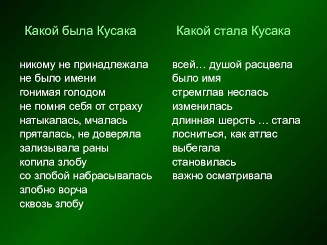 Какой была Кусака Какой стала Кусака никому не принадлежала не было имени