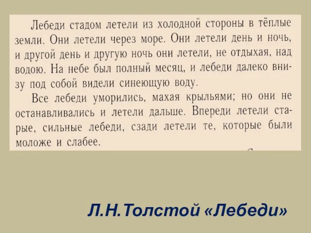 Л.Н.Толстой «Лебеди»