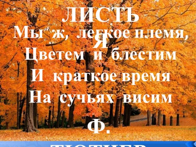 Мы ж, легкое племя, Цветем и блестим И краткое время На сучьях висим Листья Ф. Тютчев