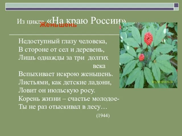 Из цикла «На краю России» Женьшень Недоступный глазу человека, В стороне от