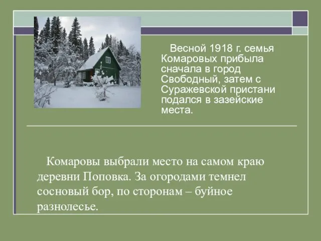 Комаровы выбрали место на самом краю деревни Поповка. За огородами темнел сосновый