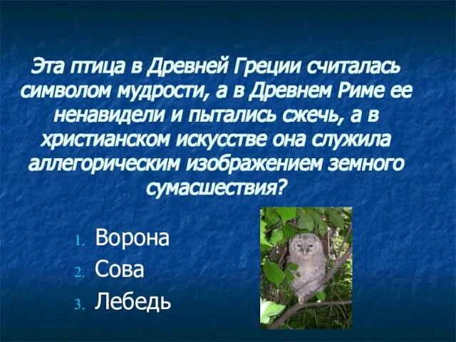 Эта птица в Древней Греции считалась символом мудрости, а в Древнем Риме