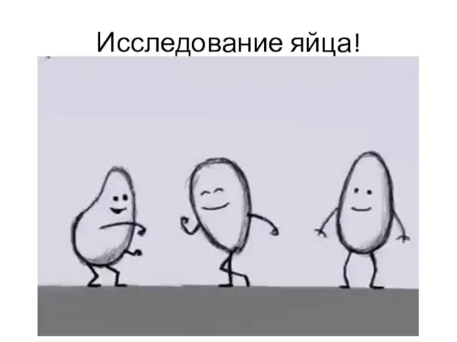 Исследование яйца!