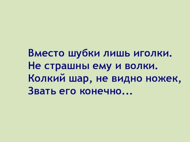 Вместо шубки лишь иголки. Не страшны ему и волки. Колкий шар, не