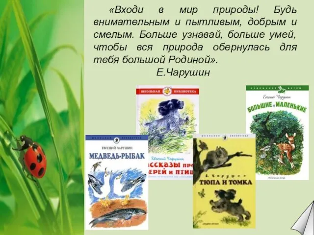 «Входи в мир природы! Будь внимательным и пытливым, добрым и смелым. Больше