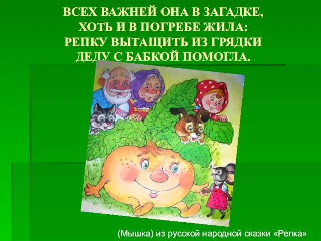 ВСЕХ ВАЖНЕЙ ОНА В ЗАГАДКЕ, ХОТЬ И В ПОГРЕБЕ ЖИЛА: РЕПКУ ВЫТАЩИТЬ