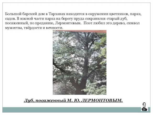 Большой барский дом в Тарханах находится в окружении цветников, парка, садов. В